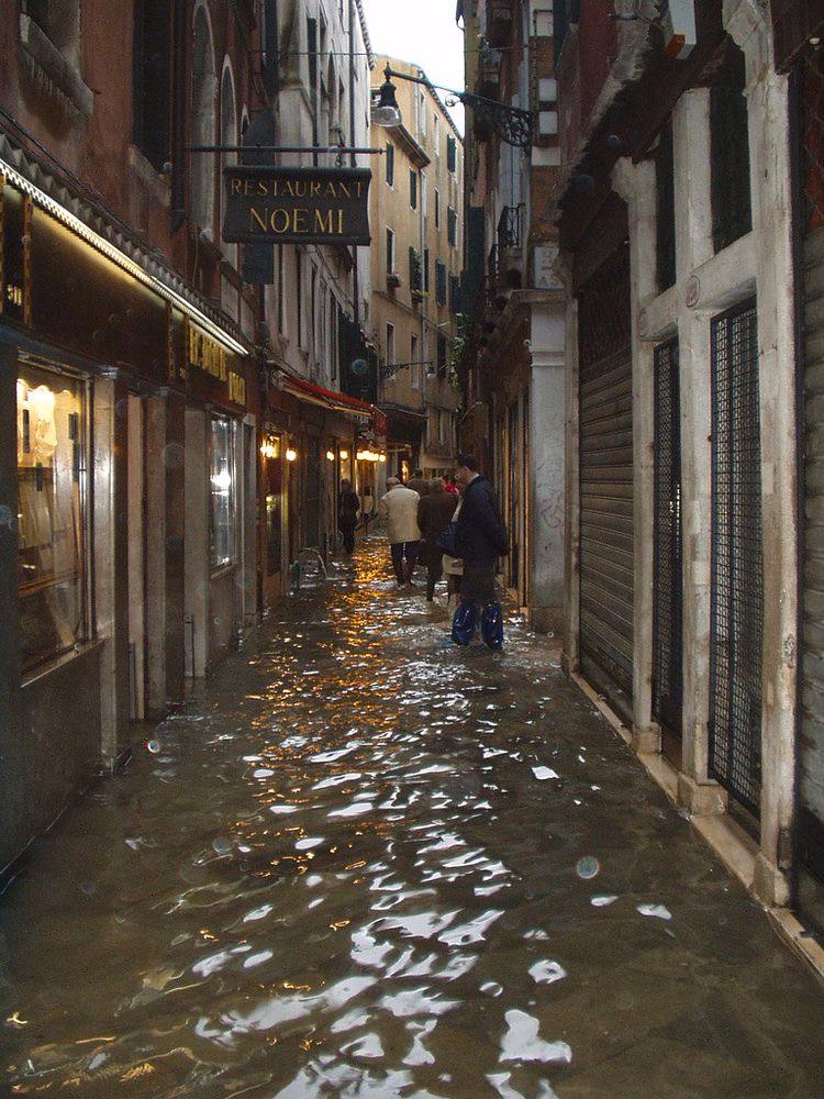 Венецию предложили перенести из-за наводнений. Цена вопроса – $100 млрд