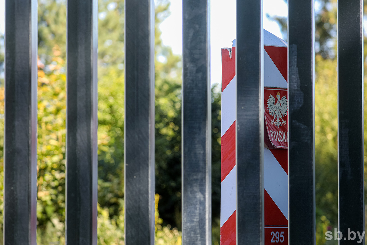 В Минприроды заявили, что польский забор в Беловежской пуще угрожает экосистемам всей Европы