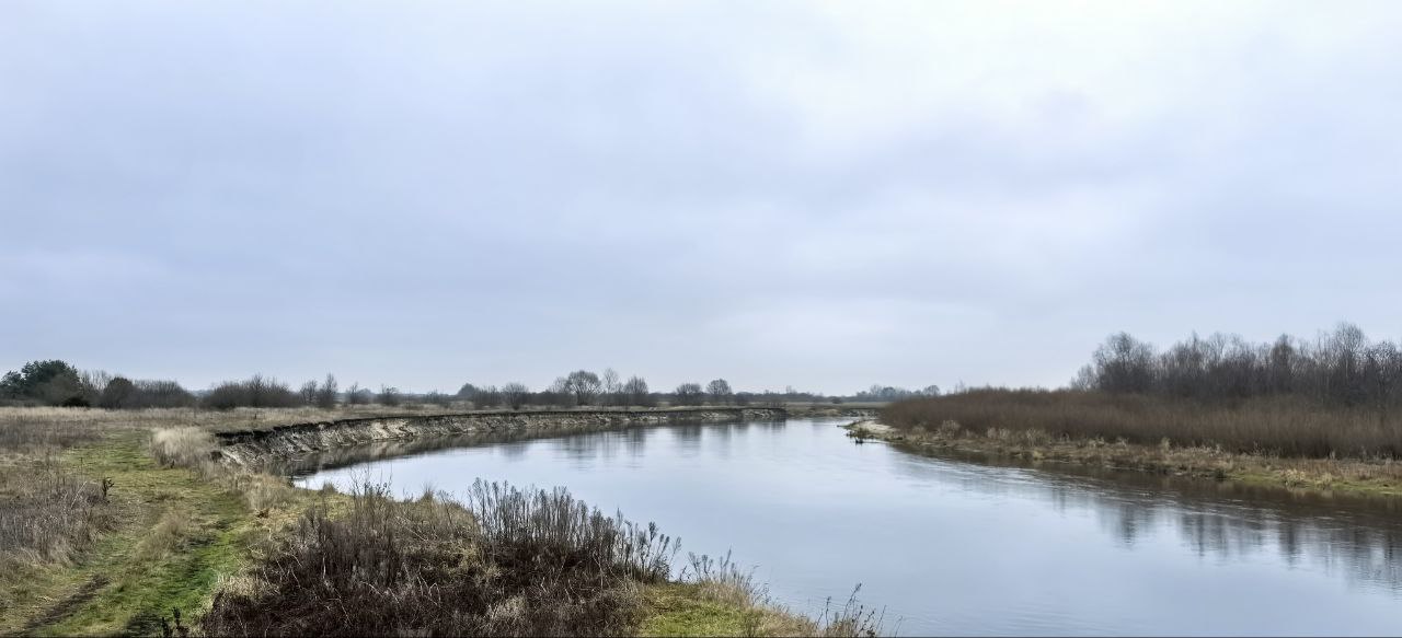 1 декабря отмечают день Платона и Романа