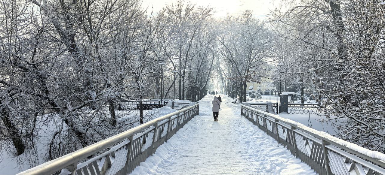 26 февраля отмечают Мартынов день