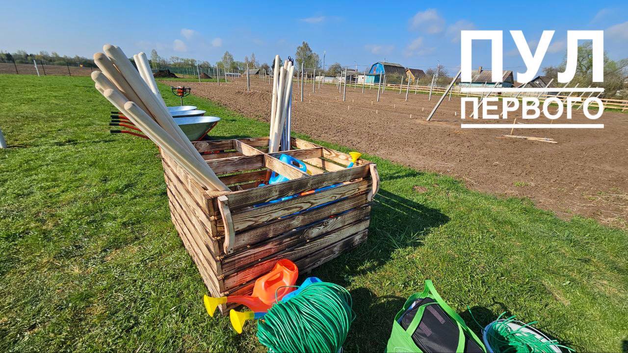Лукашенко на субботнике высаживает яблоневый сад в родной деревне