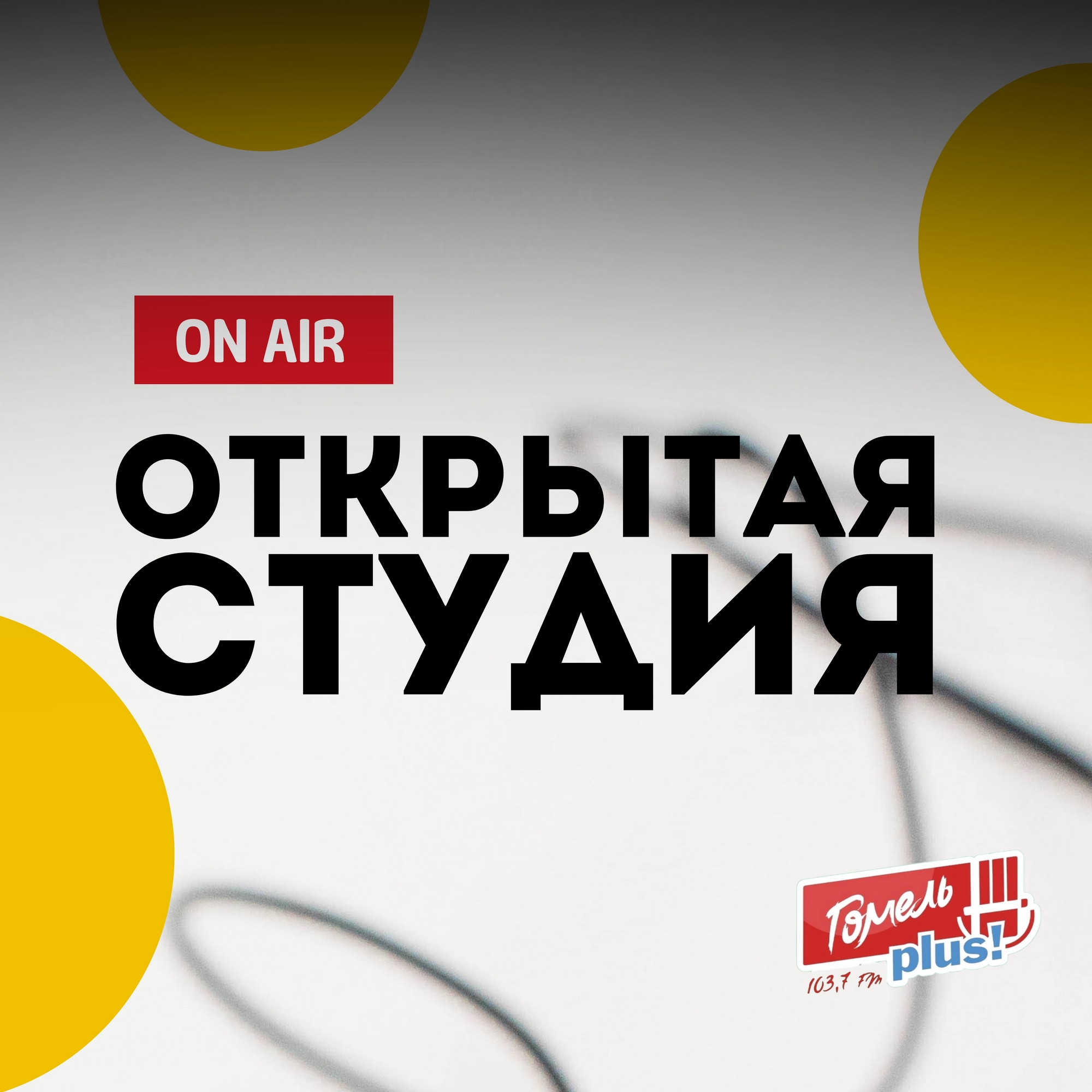 Гомельский областной комитет природных ресурсов и охраны окружающей среды (июнь 2026)
