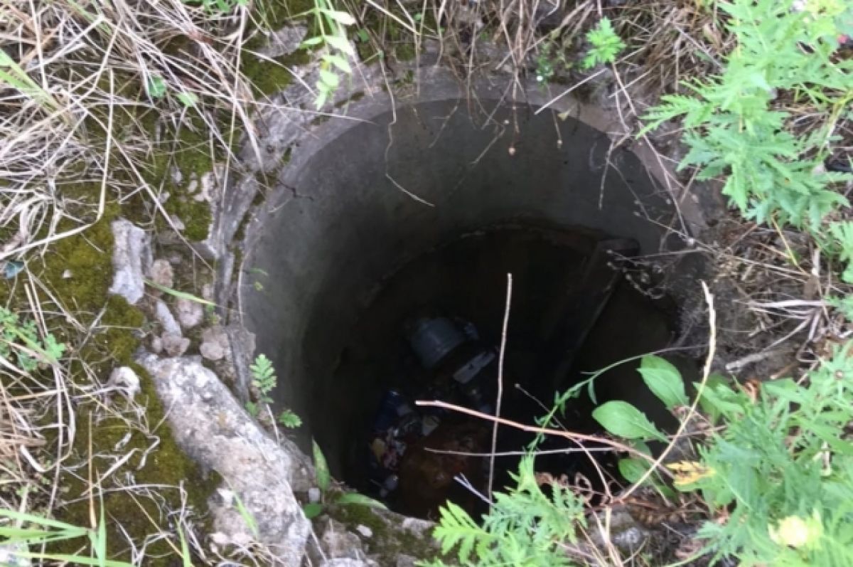 В Добрушском районе двое мужчин упали в заброшенный шахтный колодец и  погибли. Наказали председателя сельисполкома | Телерадиокомпания Гомель