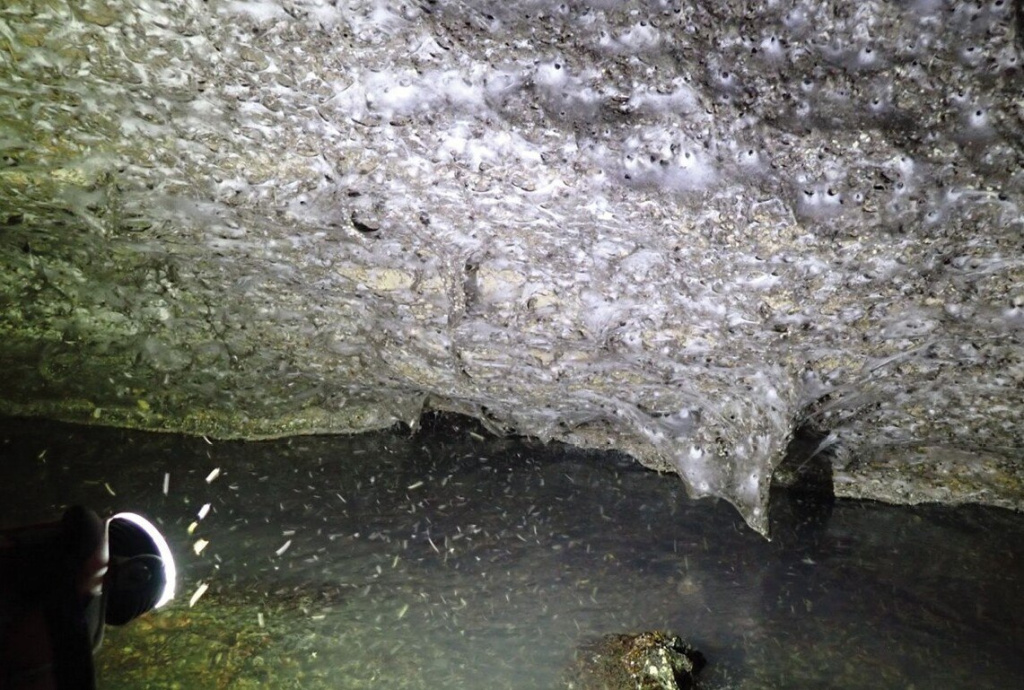 photo_2025-11-05_19-26-17.jpg photo_2025-11-05_19-26-17.jpg